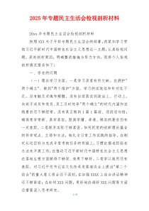 2025年专题民主生活会检视剖析材料