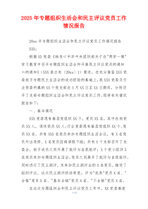 2025年专题组织生活会和民主评议党员工作情况报告