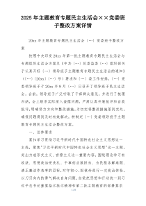 2025年主题教育专题民主生活会××党委班子整改方案详情