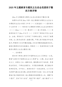 2025年主题教育专题民主生活会党委班子整改方案详情