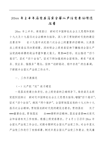20XX年上半年局党委落实全面从严治党责任情况报告
