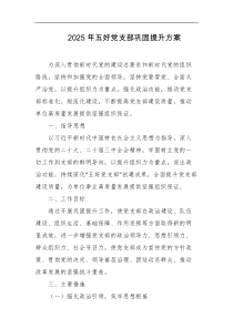 2025年五好党支部巩固提升方案