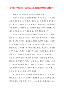 2025年党员干部民主生活会对照检查材料