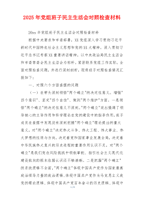 2025年党组班子民主生活会对照检查材料