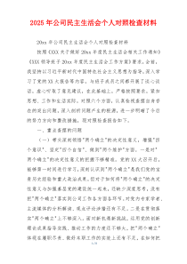 2025年公司民主生活会个人对照检查材料