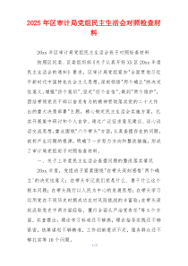 2025年区审计局党组民主生活会对照检查材料