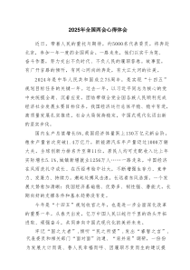 2025年全国两会心得体会(通用精选6篇)