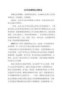 2025年全国两会心得体会范文六篇供参考