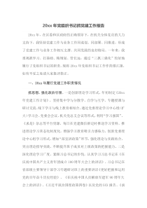 20XX年党组织书记抓党建工作报告