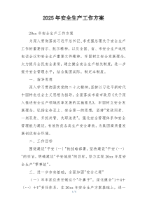 2025年安全生产工作方案