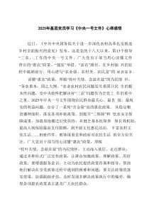 2025年基层党员学习《中央一号文件》心得感悟（共4篇）