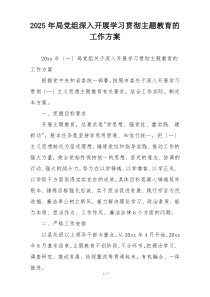 2025年局党组深入开展学习贯彻主题教育的工作方案