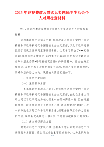 2025年巡视整改反馈意见专题民主生活会个人对照检查材料