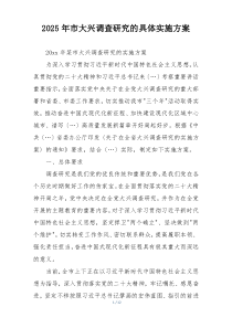 2025年市大兴调查研究的具体实施方案