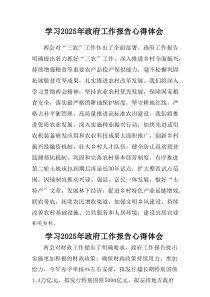 2025年学习《中央政府工作报告》个人心得体会