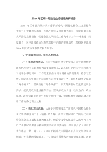 20XX年区审计局政治生态建设分析报告