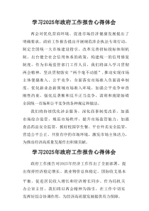 2025年学习《中央政府工作报告》个人心得体会汇集6份