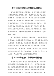 2025年学习《中央政府工作报告》心得体会（汇总7篇）