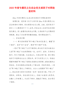 2025年度专题民主生活会党支部班子对照检查材料