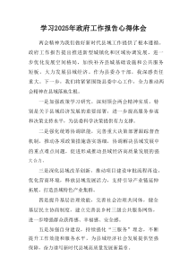 2025年学习中央政府工作报告个人心得体会汇集6份