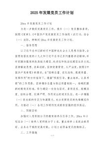 2025年发展党员工作计划