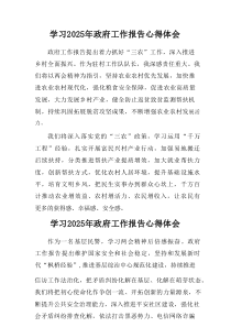 2025年学习中央政府工作报告心得体会（8篇）