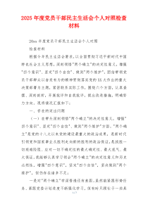 2025年度党员干部民主生活会个人对照检查材料