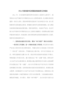 20XX年度党组书记抓基层党建述职工作报告
