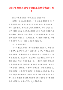 2025年度党员领导干部民主生活会发言材料 1