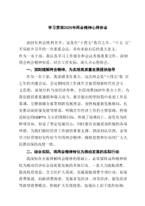 2025年学习全国两会精神心得体会精选8篇