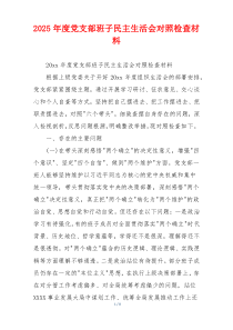 2025年度党支部班子民主生活会对照检查材料