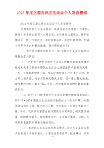 2025年度区委办民主生活会个人发言提纲