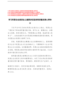 2025年学习贯彻民营企业座谈会精神心得体会