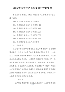 2025年安全生产工作要点与计划整理