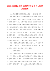 2025年度国企领导专题民主生活会个人检视剖析材料
