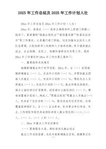 2025年工作总结及2025年工作计划人社