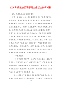 2025年度政法委班子民主生活会剖析材料