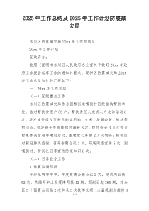 2025年工作总结及2025年工作计划防震减灾局