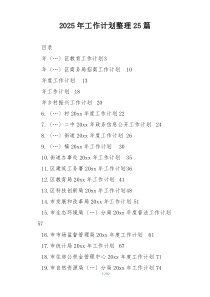 2025年工作计划整理25篇