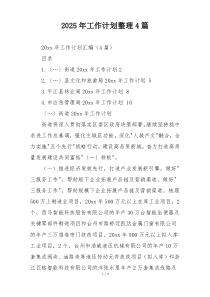 2025年工作计划整理4篇