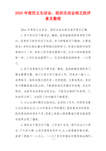 2025年度民主生活会、组织生活会相互批评意见整理