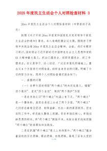 2025年度民主生活会个人对照检查材料 3