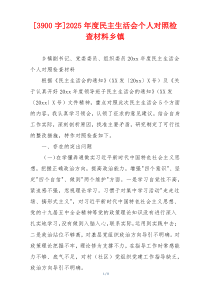 2025年度民主生活会个人对照检查材料乡镇