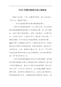 2025年警示教育大会心得体会
