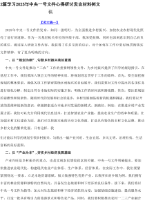 2篇学习2025年中央一号文件心得研讨发言材料范文参考