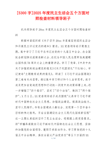 2025年度民主生活会五个方面对照检查材料领导班子