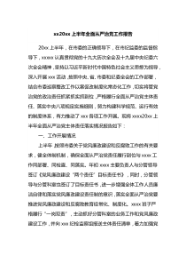 xx20XX上半年全面从严治党工作总结报告