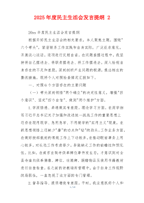 2025年度民主生活会发言提纲 2