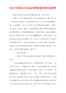 2025年度民主生活会对照检查材料仅供参考