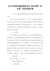 乡生产经营自建房消防安全 综合治理“回头看”具体实施方案